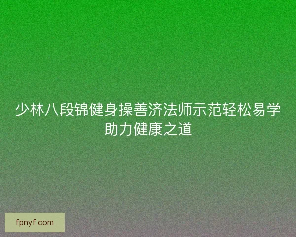 少林八段锦健身操善济法师示范轻松易学助力健康之道