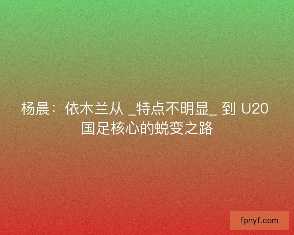 杨晨：依木兰从 _特点不明显_ 到 U20 国足核心的蜕变之路